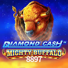 8897.com